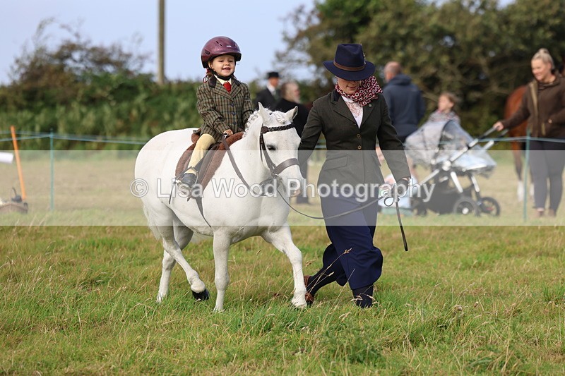 3E7A3615 - Class 2: Lead rein