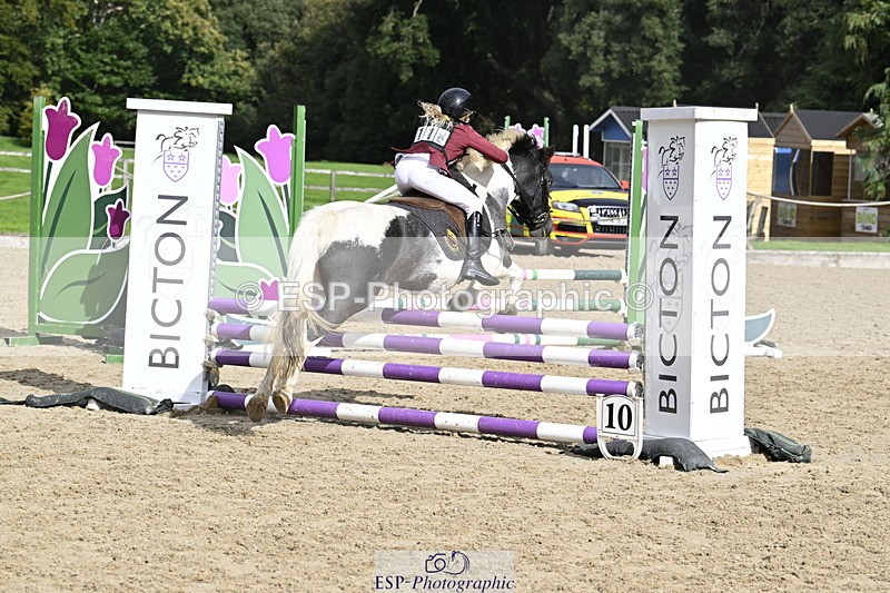 251005A-122201-03744 - Cls 08 Mini 70-75cm