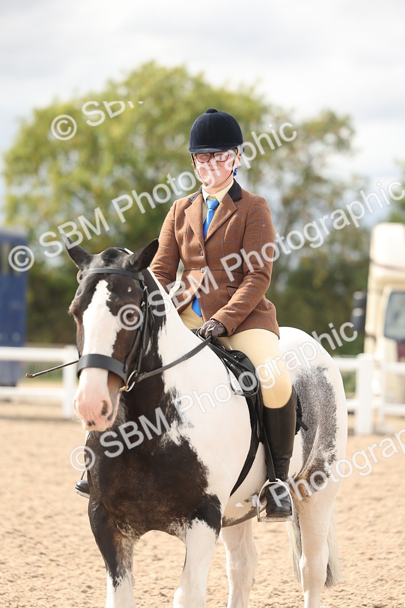 SBM_18044 - Class 314 - Family Horse Pony