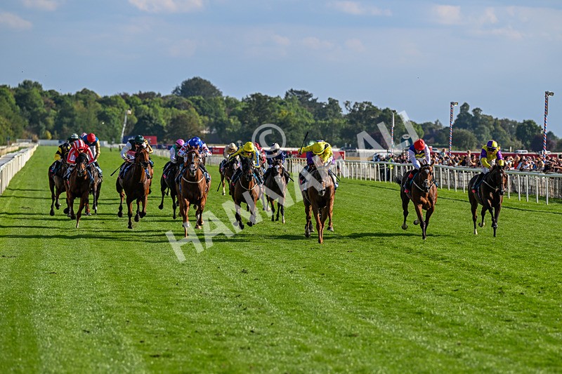220826-Race 7-Raammee-1833 - Race 7 17.20pm Sky Bet Dav Reid Finale Handicap