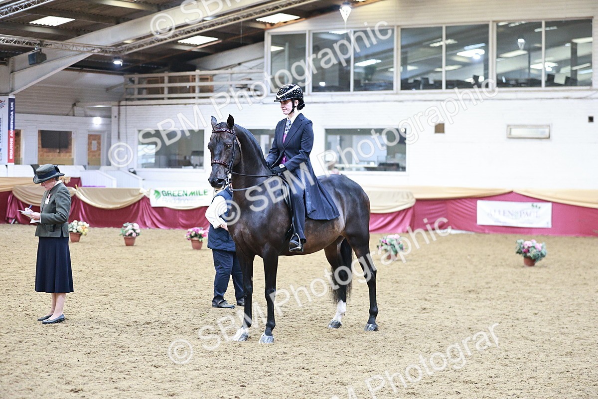 SBM_09070 - Class 12R - Regional Ridden Pre-Vet