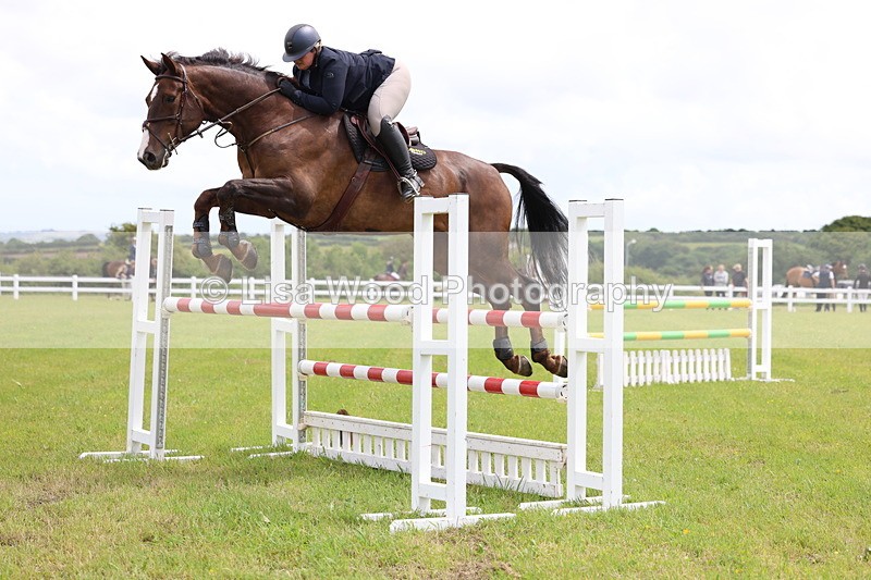 3E7A7085 - Class 12: Senior Foxhunter/1.20 open