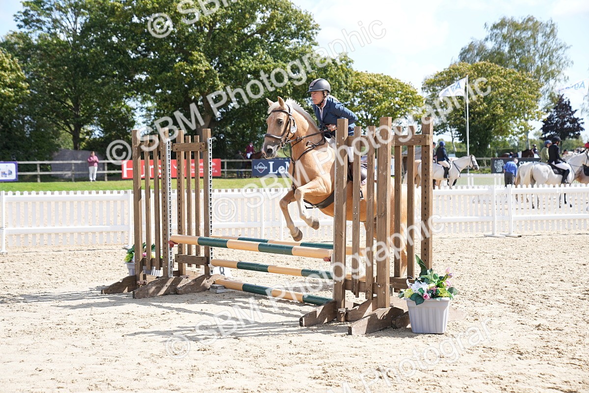 SBM_06059 - J56 - Clear Round 70cm