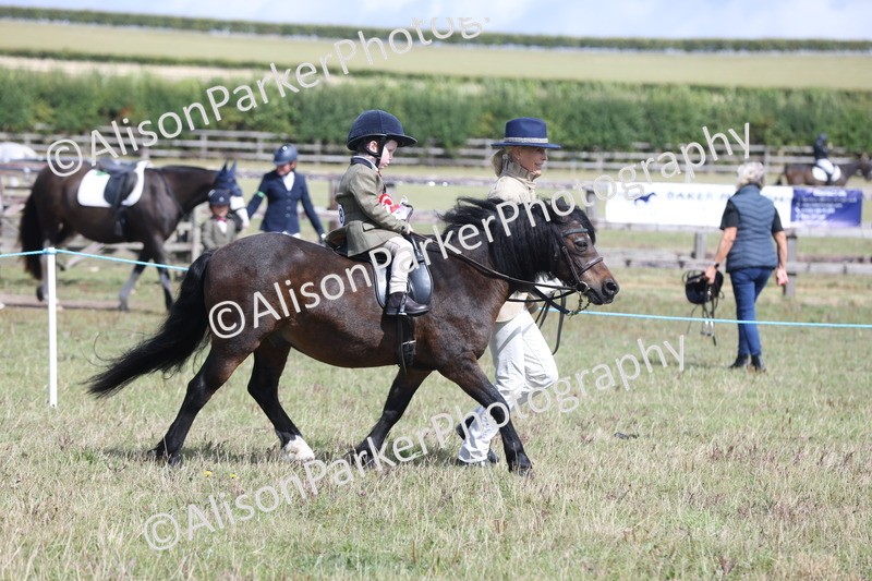20250831-2773 - Class 17 - Lead Rein Pony