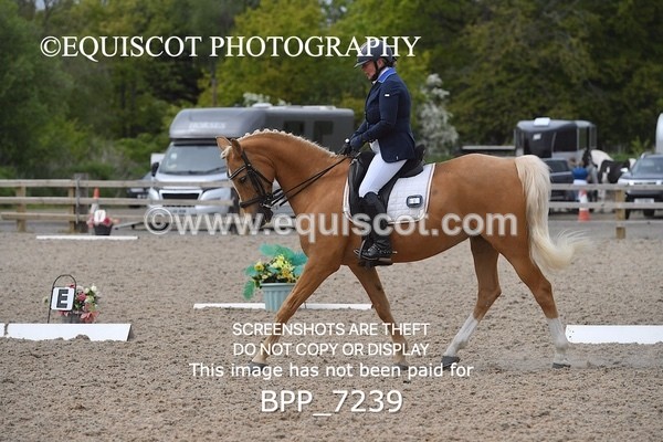BPP_7239 - 3 D HARRISON