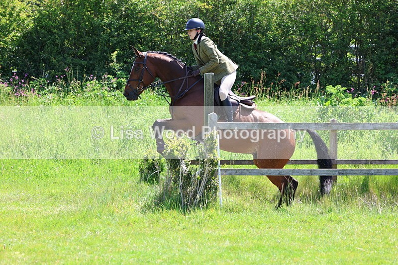 3E7A7091 - Class 30: Novice Working Hunter