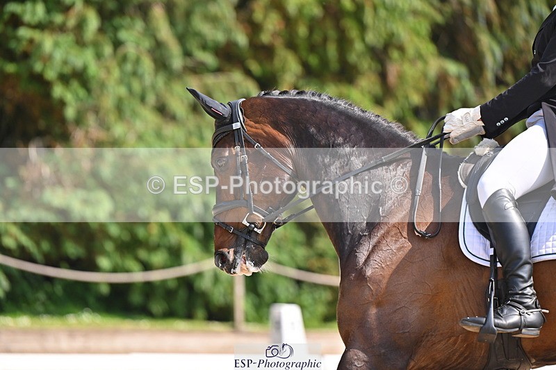 250523A-154332-07602 - B-372-Stephen.Heal-HISCO