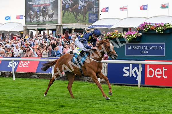 260725-Race 1-Golden Palace-0212 - Race 1 1.25pm £100K ITV7 Jackpot Today EBF Fillies' Novice Stakes