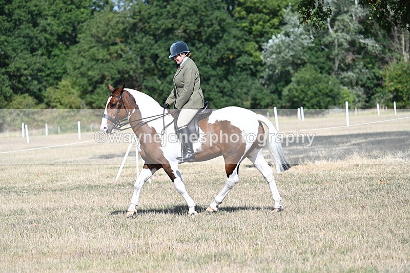 WJ7_2843 - Class 8 Ridden Tack & Turnout