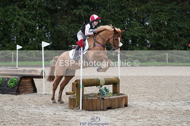 260301A-110414-01860 - NSEA 80-85cm