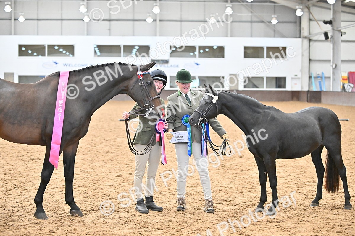 SBM_000748 - Class 14 - SSADL In Hand Championships