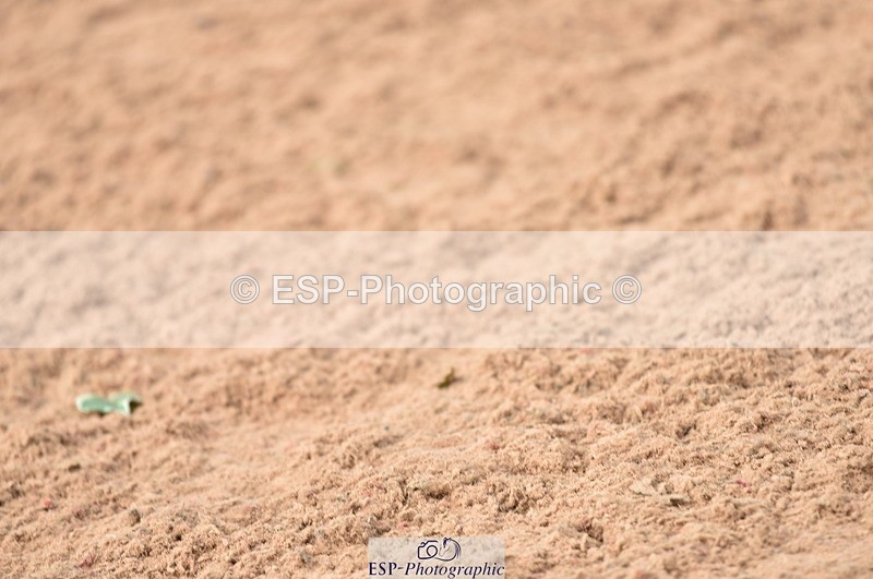 230810A-094750-00136 - Cls 8 British Novice & 90cm Open