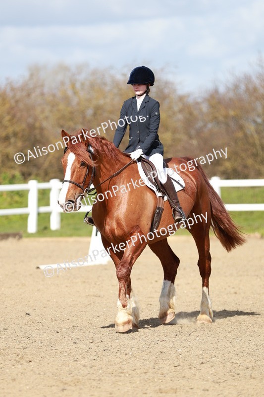 20260314-2926 - DR3 - Prelim 1