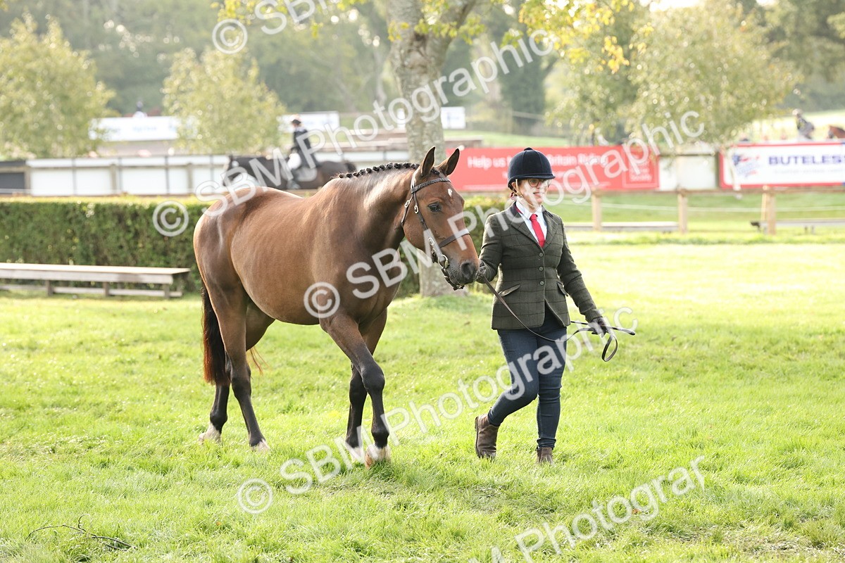 SBM_54664 - S53 - Hunter In Hand