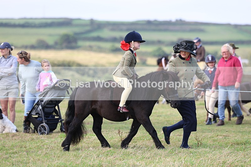 3E7A3508 - Class 2: Lead rein