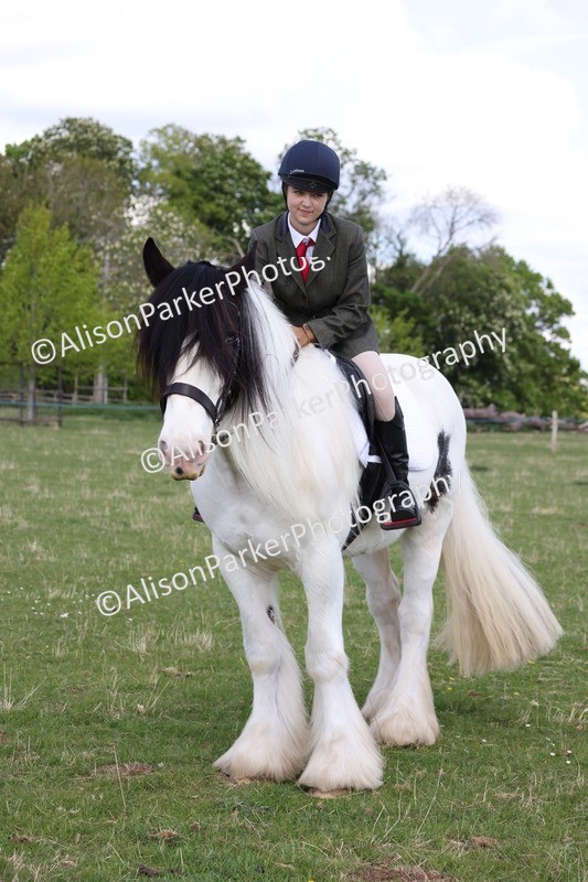 20250427-4083 - Class 34 - Best Riding Horse Over 14.2hh