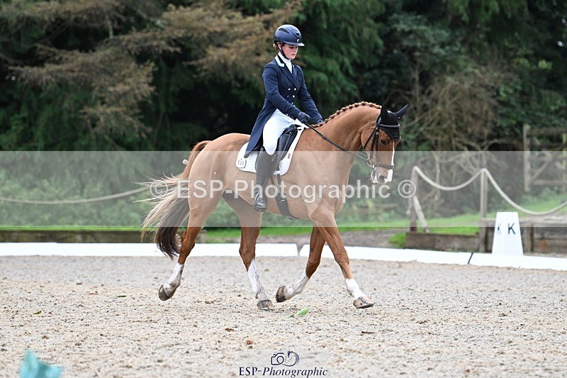 231019-130152-02912 - 049-AUGUSTUS.IMPERIOUS-Ines.Mitchell-DR