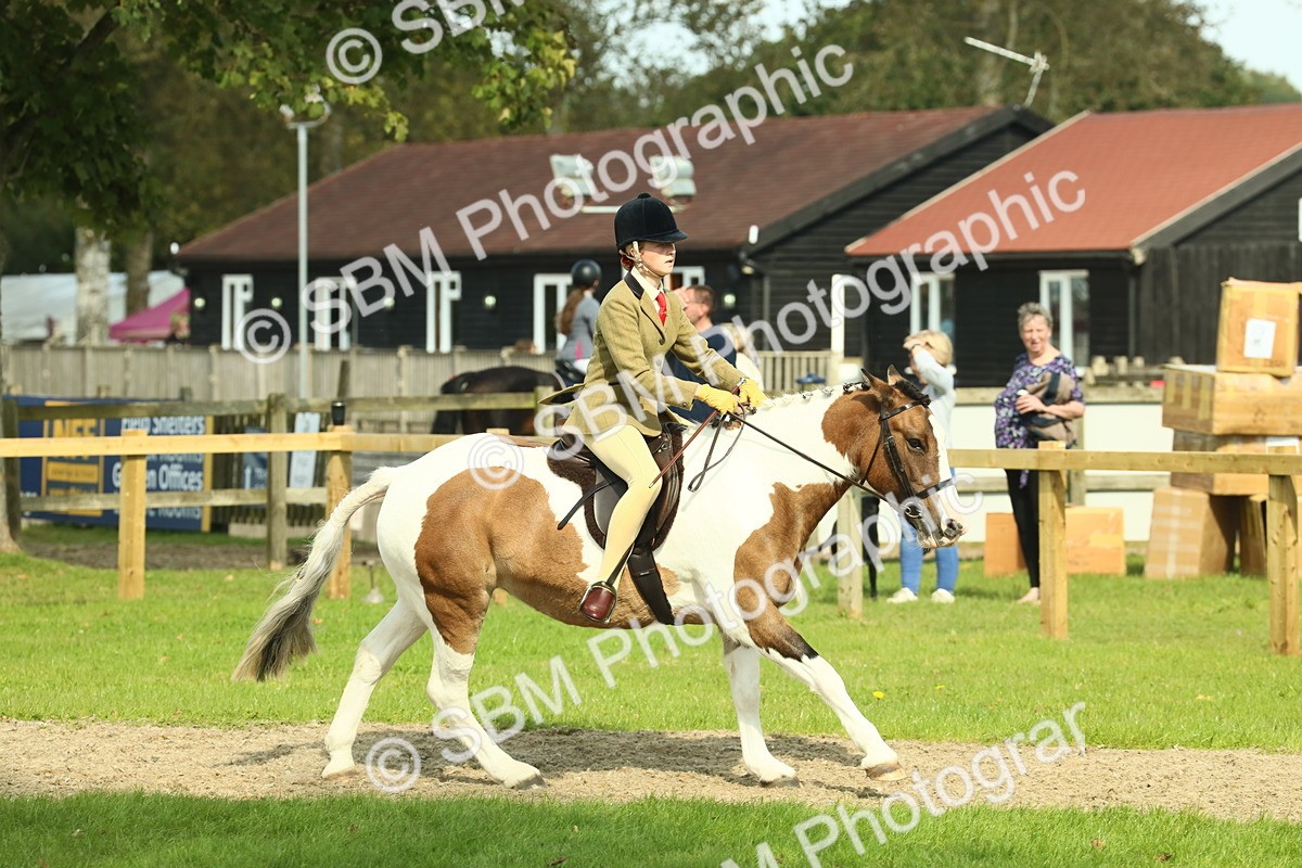 SBM_67664 - S56 - Coloured Pony Ridden