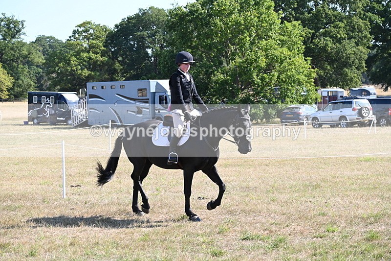 WJ6_7522 - Class 34 Judges Choice