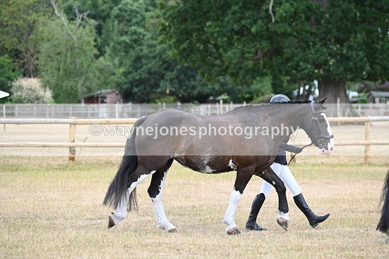 WJ6_7849 - Class 10 Coloured in Hand