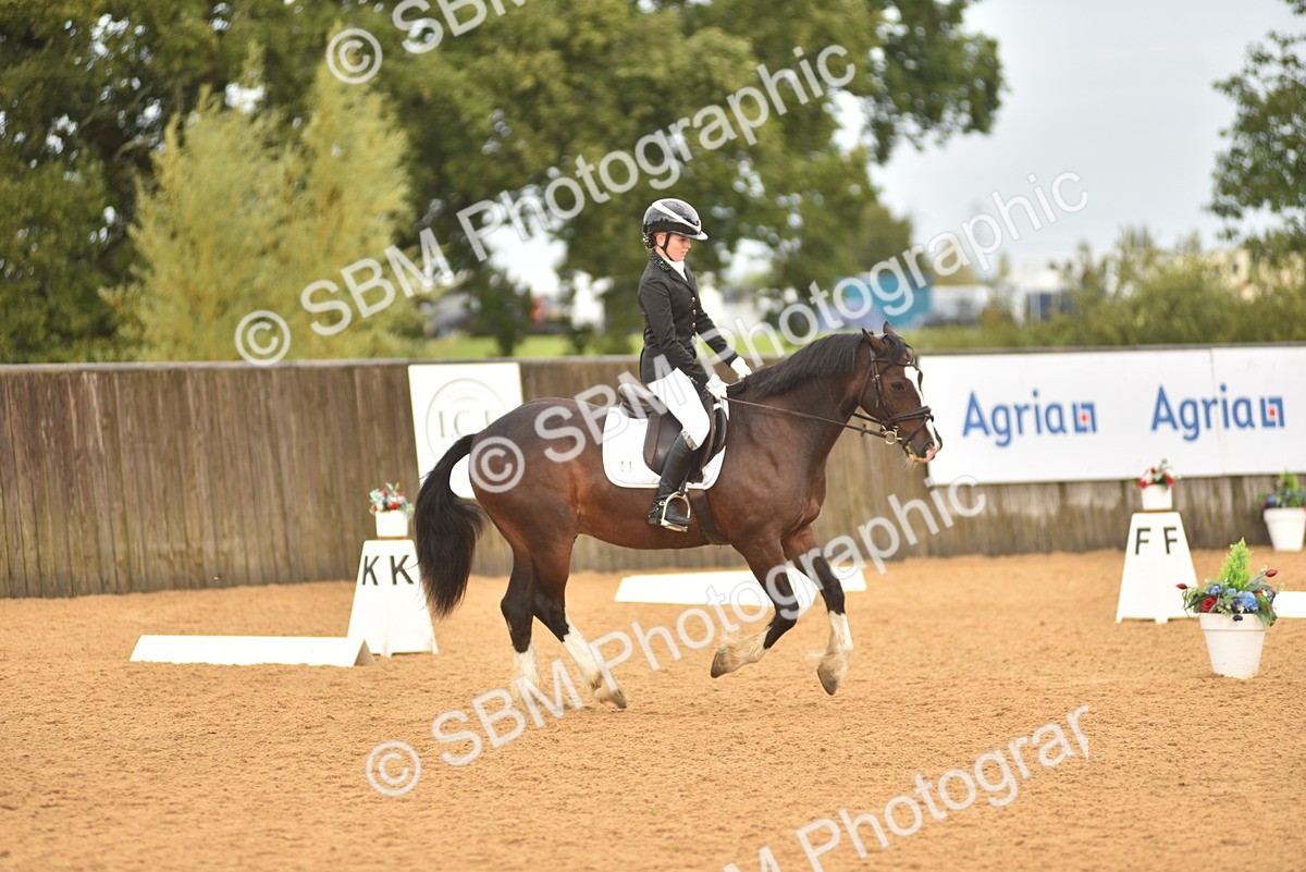 SBM_02144 - D7 - Small Tour Championship Prelim 2