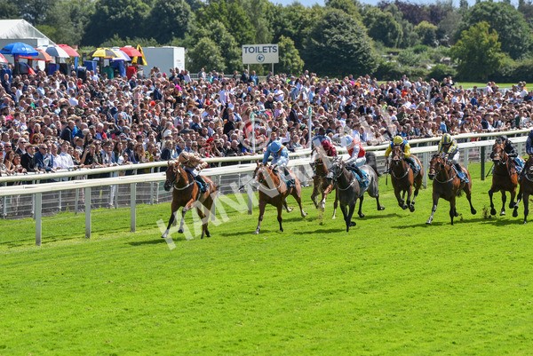 150723-Race 2-Nymphadora-8595 - Race 2 2.35pm John Smith's City Walls Stakes
