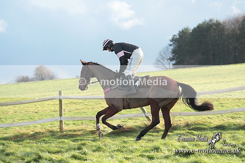 PtP 101223 933 - New Forest Hounds PtP Larkhill 10/12/23
