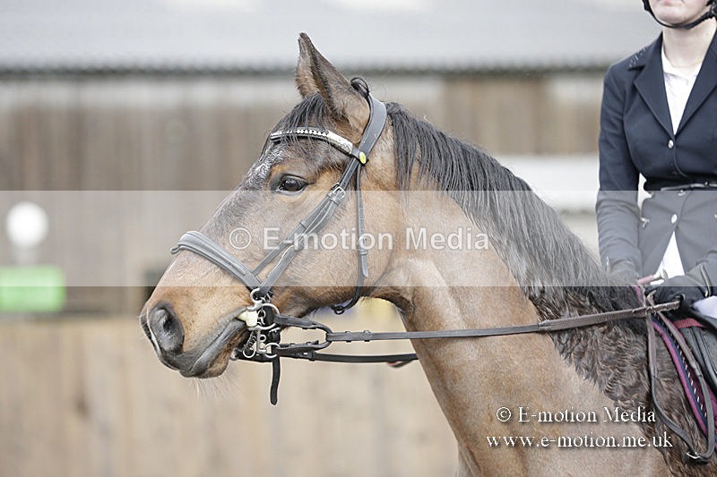 BVRC 050320 0321 - Bourne Valley riding Club Show Jumping Tidworth 08/03/20