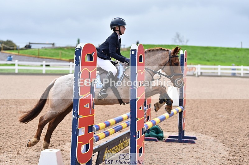 231029A-103136-02316 - 70cm Pony Intro