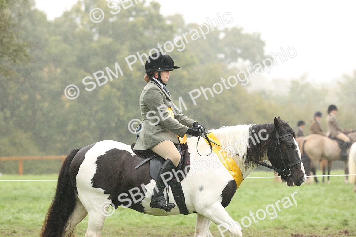 SBM_72880 - Ridden Horse Supreme Championship