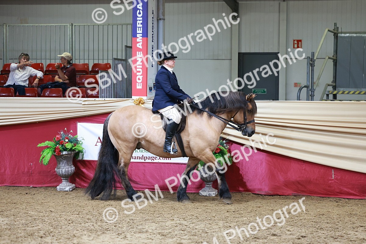 SBM_18524 - Class 952 - M&M Ridden Supreme Final