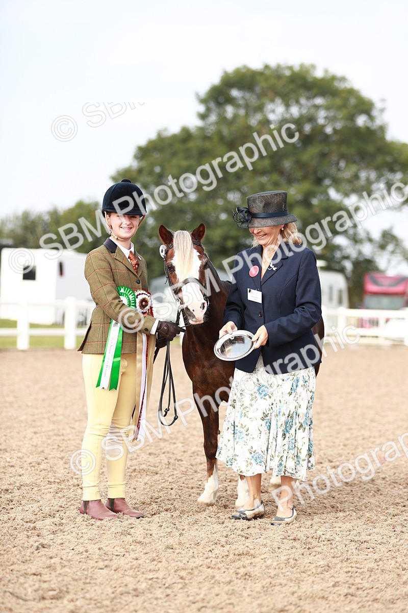 SBM_10613 - Class 204 Young Handler, 11-16 years