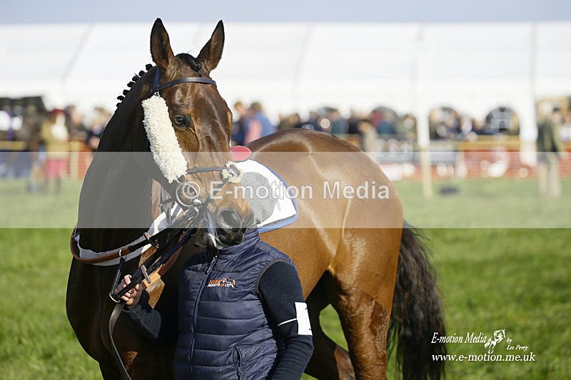 PtP 200322 411 - Mendip Farmers Point-to-Point 20/03/22