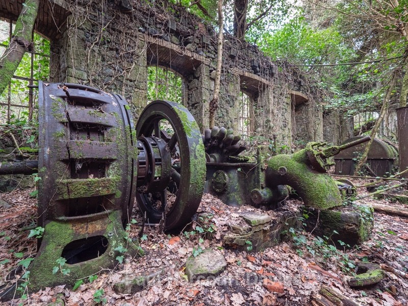 Nature takes over...The remains of the first Hydroelectric power plant, Officine Netti, Orvieto - dating from 1893 - Plants in the Landscape