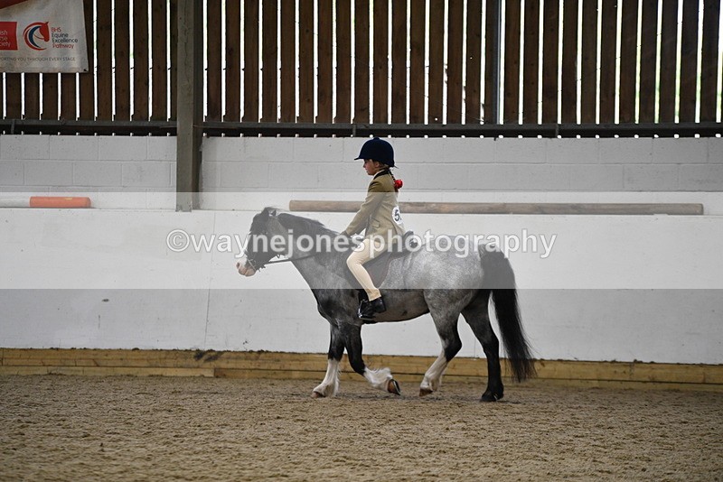 WJ5_6890 - Class 10 Childs Pony