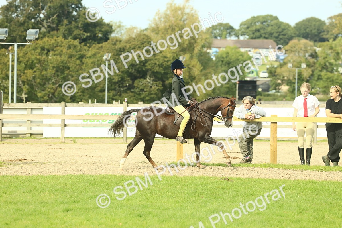 SBM_68066 - S57 - Part Bred Pony Ridden