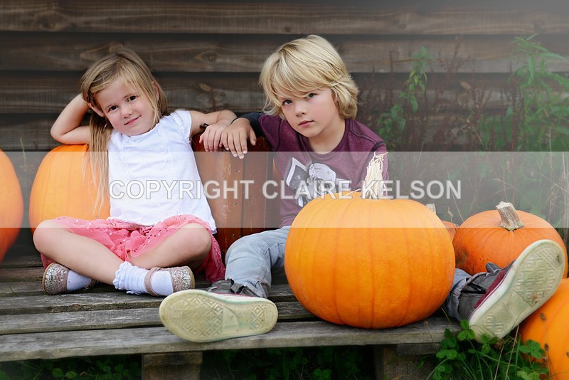 DSC_8797-5 - SEASONAL OUTDOOR SHOOTS - PUMPKINS