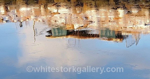  - NEW Winter Reflection