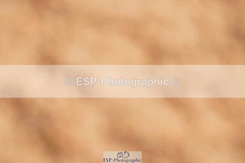 240628A-181156-00671 - Cls 3 1m Open