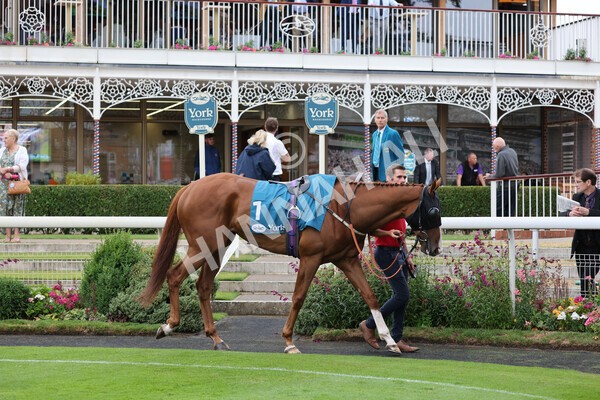 yr22072022r2-3 - Race 2 5.50pm eventmasters.co.uk Stakes