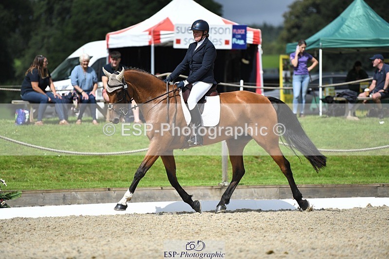 230812-114636-03690 - Cls 6 Novice Silver 10.30 to 11.55 break