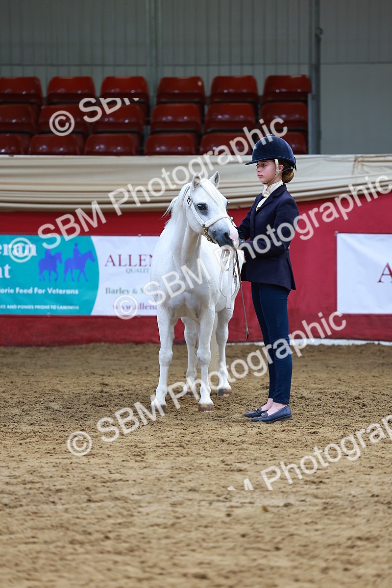 SBM_18698 - Class 903 - Sup Final - IH Pre Vet
