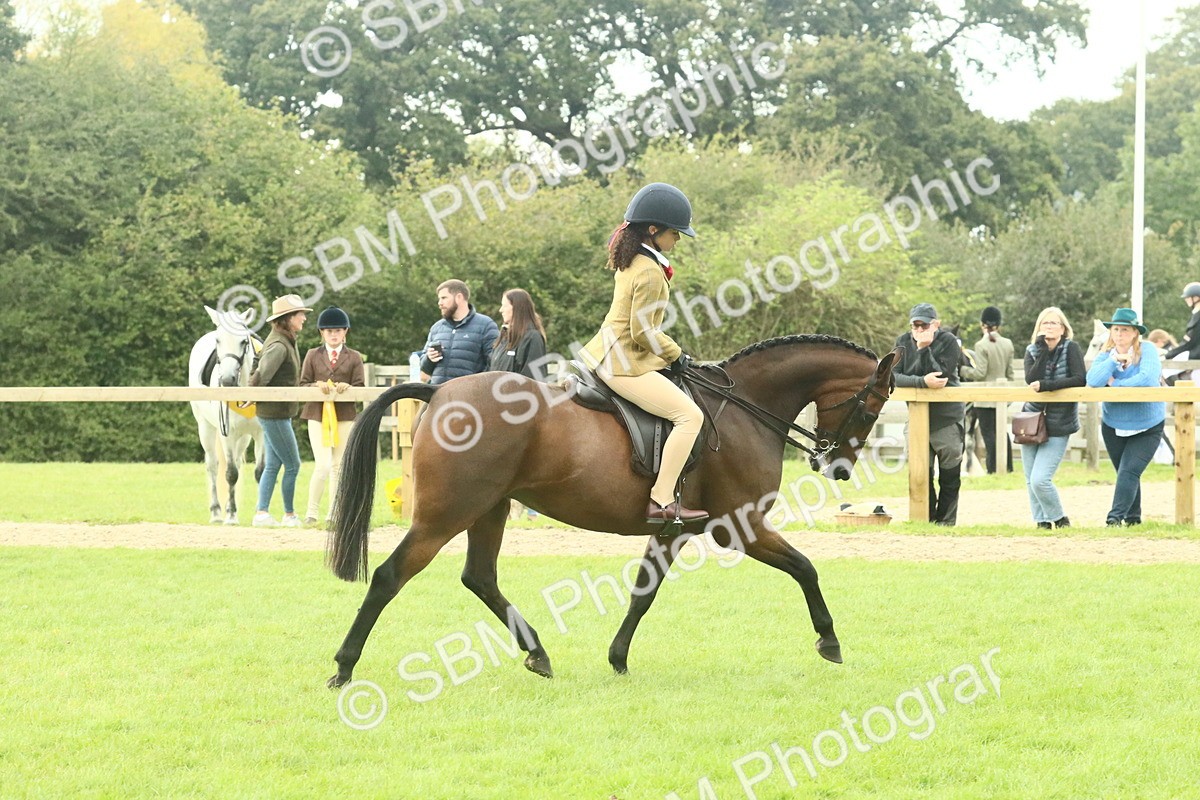 SBM_74088 - S 61 - Show Pony & Show Hunter Pony Ridden