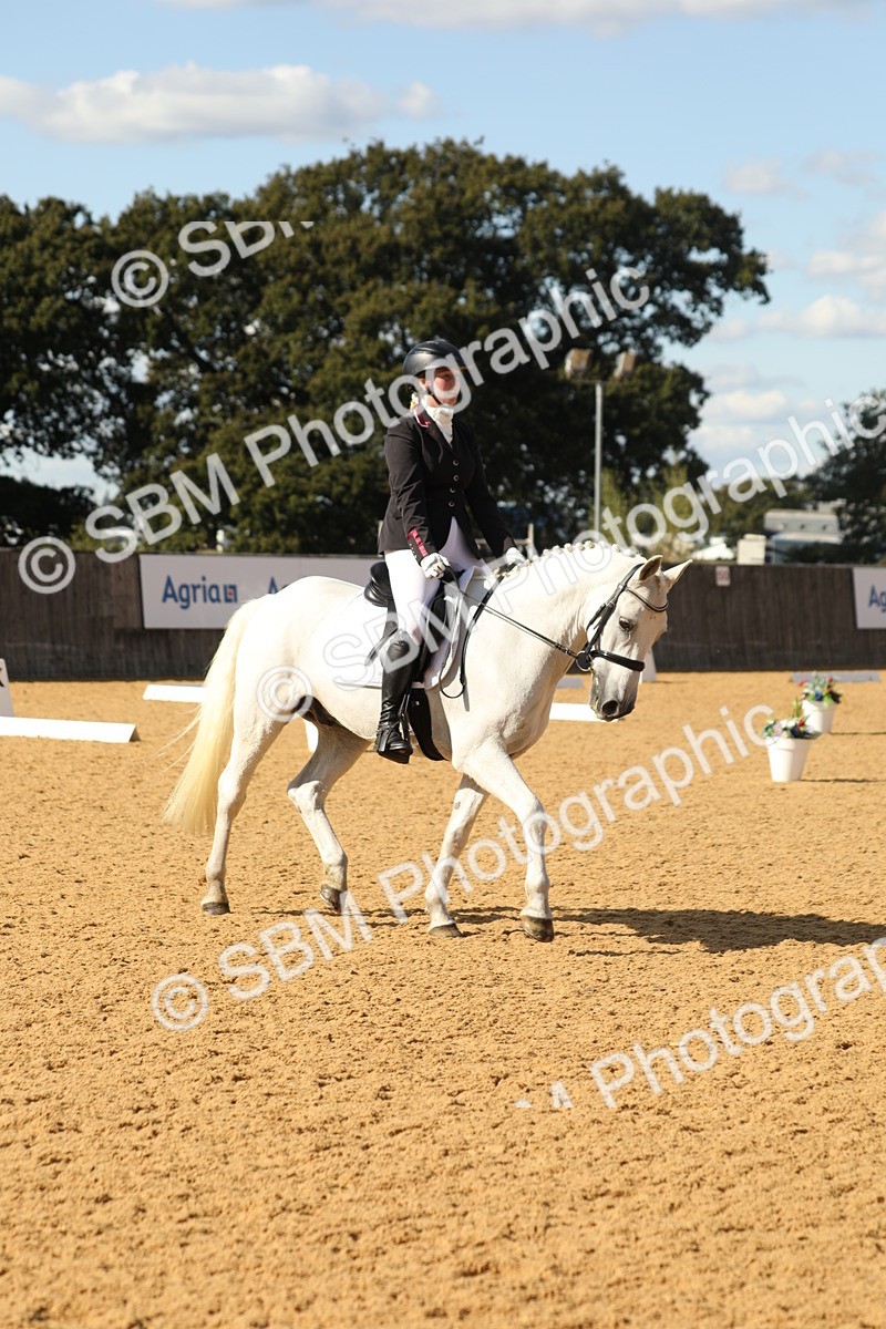SBM_26568 - D17 - Grand Tour Championship - Novice 27