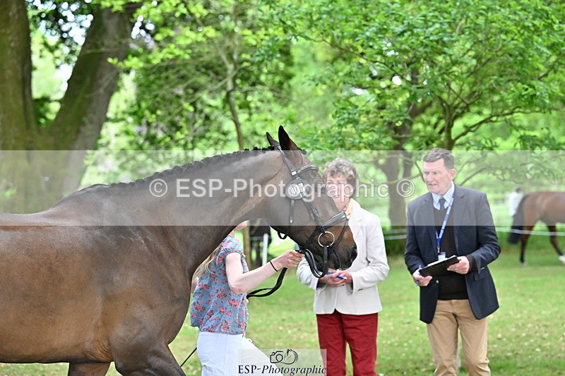 250521A-143458-00100 - A-008-Ada.Marson-IZZIETOP