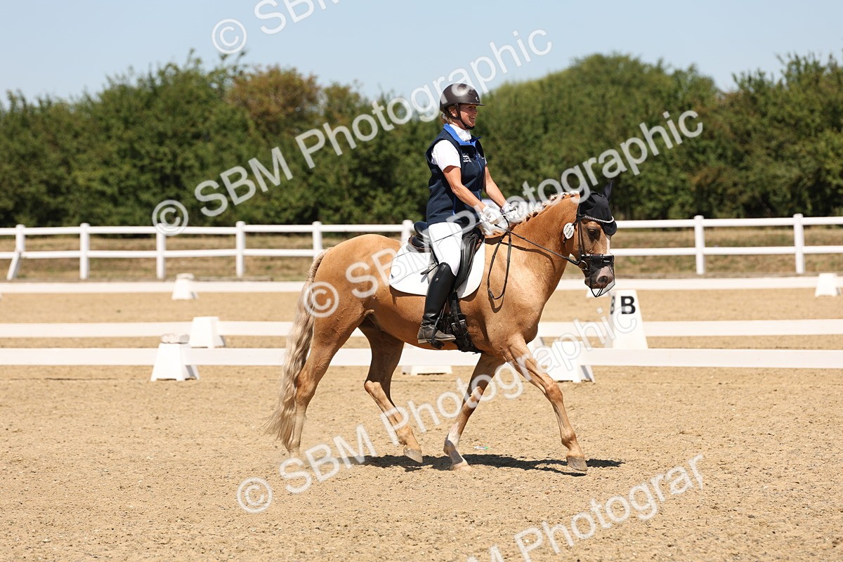 SBM_002216 - Elementary 4 Warm Up