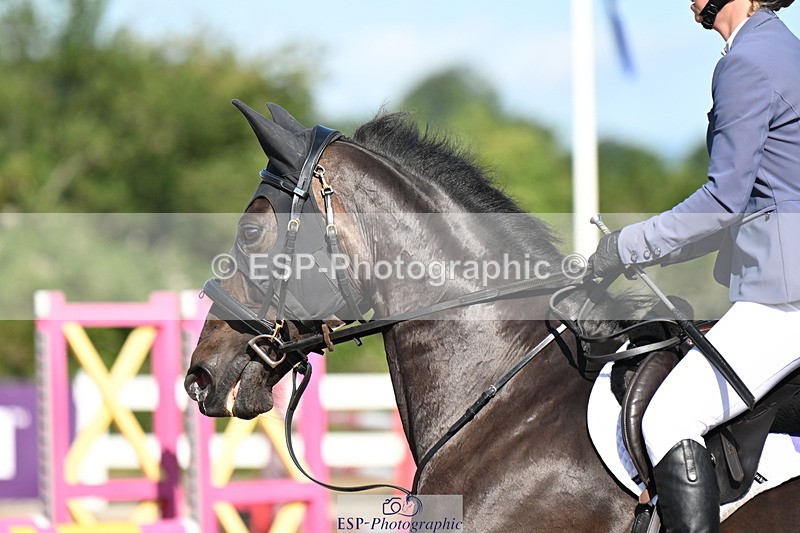 240728A-092026-07546 - Cls 33 Snr British Novice and 90cm Open