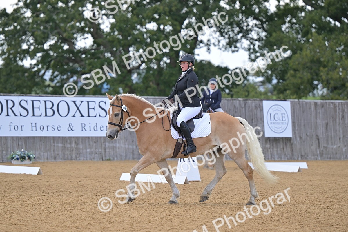 SBM_11150 - D3 - Small Tour Championship Intro 3