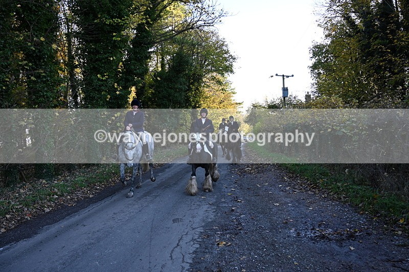 WJ6_9782 - Walk Home