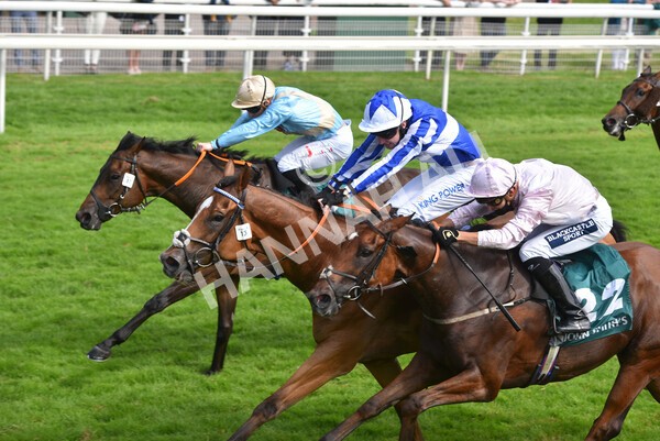 yr10072021r5-30 - Race 5: 4.05pm John Smith's Cup